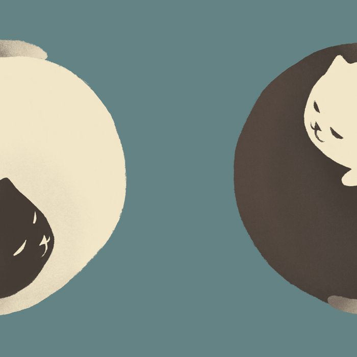 Hidden cat 9 blue yin yang kitty hug Coffee Mug Gallery Image 2