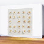 Daisy Collection Wall Mural Gallery Image 2