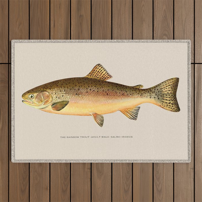 The Rainbow Trout Outdoor Rug Gallery Image 1