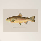The Rainbow Trout Welcome Mat Gallery Image 1