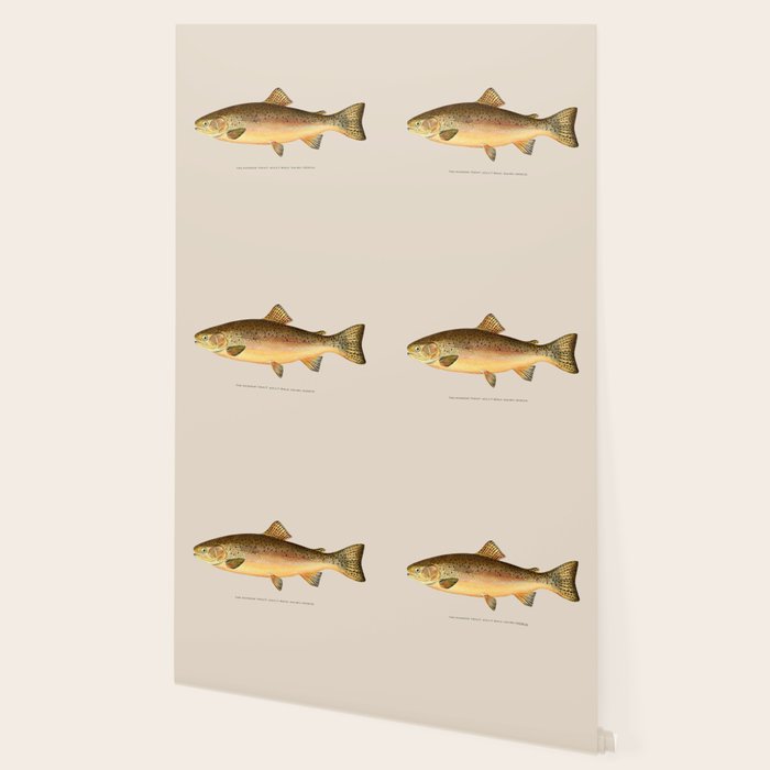 The Rainbow Trout Wallpaper Gallery Image 2