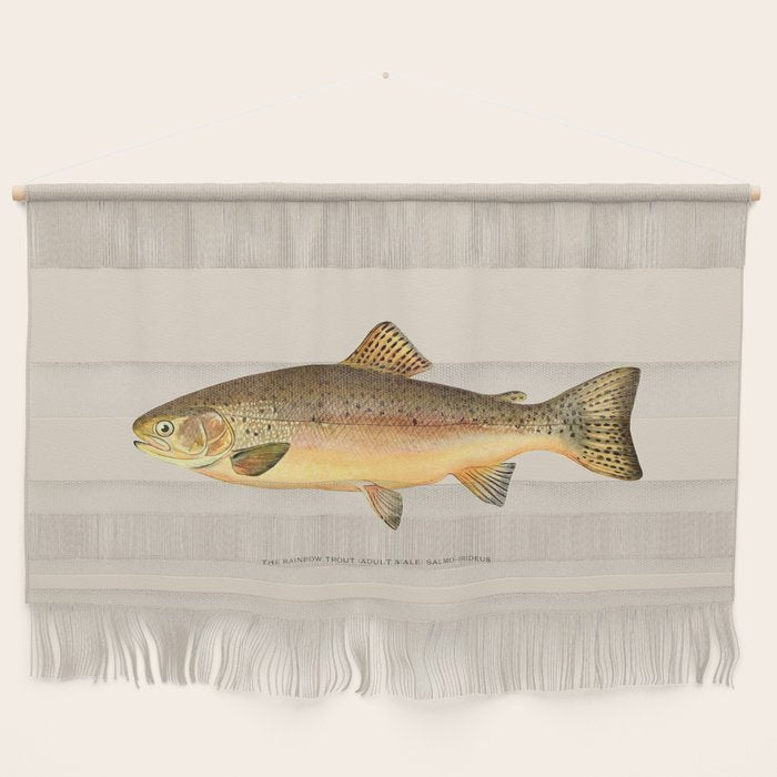 The Rainbow Trout Wall Hanging Gallery Image 1
