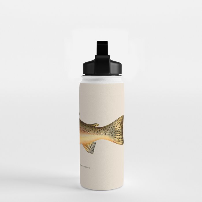 The Rainbow Trout Water Bottle Gallery Image 2