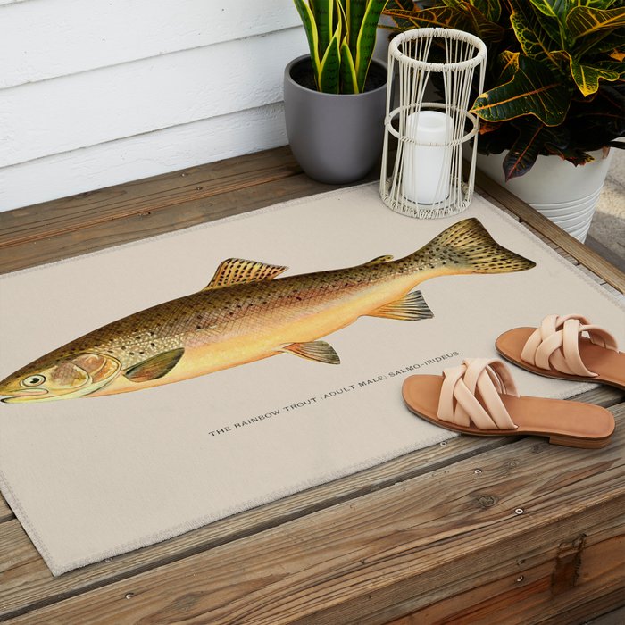 The Rainbow Trout Outdoor Rug Gallery Image 2