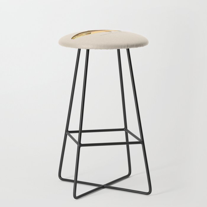 The Rainbow Trout Stool Gallery Image 1