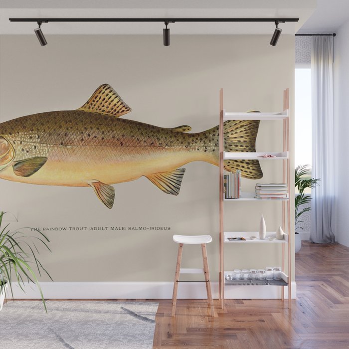 The Rainbow Trout Wall Mural Gallery Image 1