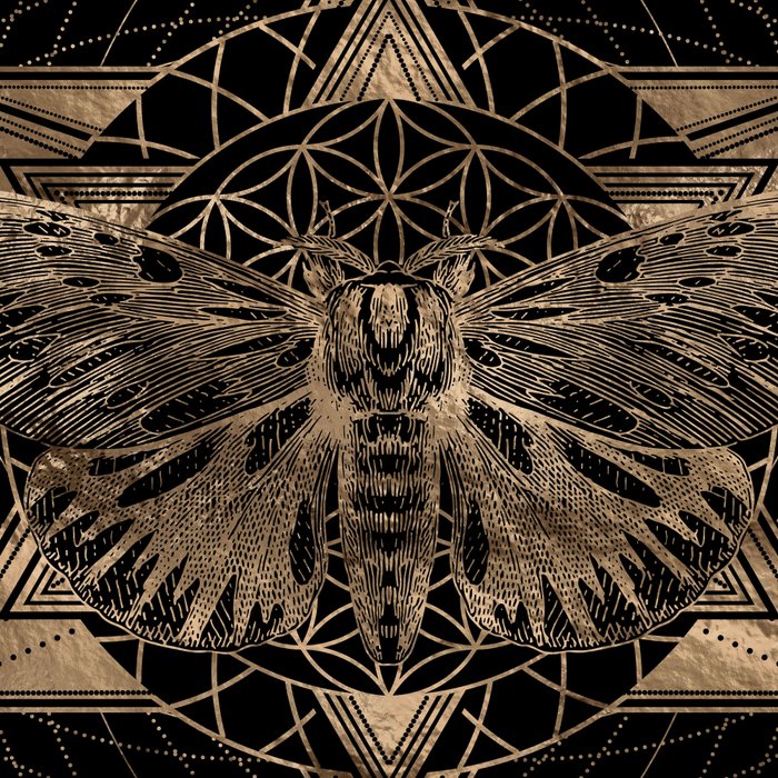 Regal moth in Sacred Geometry - Black and Gold Coffee Mug Gallery Image 2