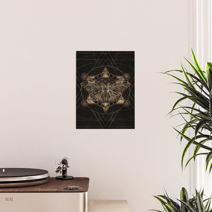 Regal moth in Sacred Geometry - Black and Gold Poster Gallery Image 2