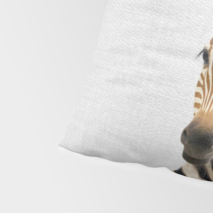 Baby Zebra - Colorful Pillow Sham Gallery Image 4