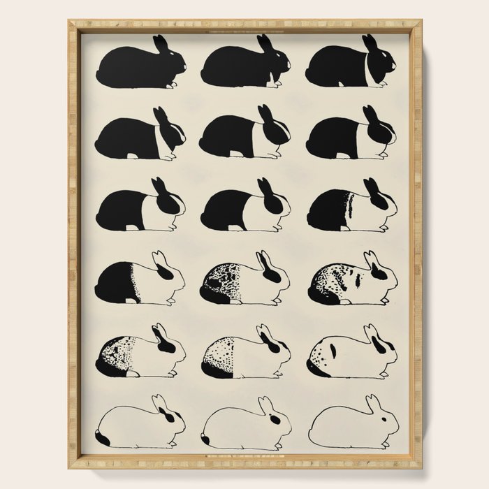 Studies of heredity in rabbits- William E.Castle - 1919 Cute Bunny Pattern Serving Tray Gallery Image 1