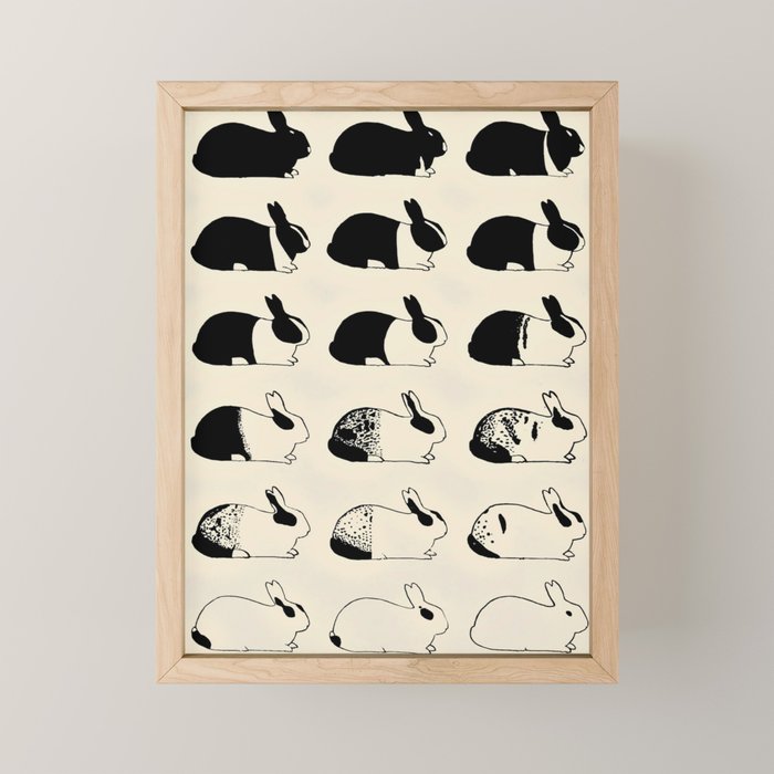 Studies of heredity in rabbits- William E.Castle - 1919 Cute Bunny Pattern Mini Art Print Gallery Image 1