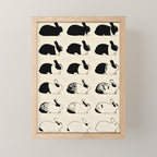 Studies of heredity in rabbits- William E.Castle - 1919 Cute Bunny Pattern Mini Art Print Gallery Image 1