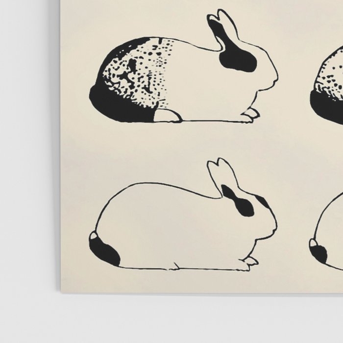 Studies of heredity in rabbits- William E.Castle - 1919 Cute Bunny Pattern Poster Gallery Image 3