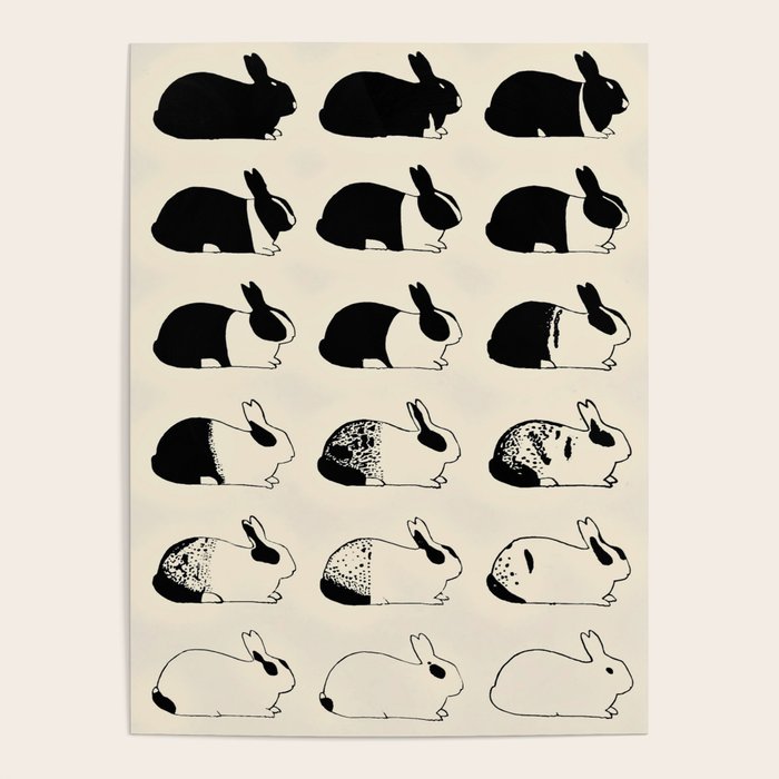 Studies of heredity in rabbits- William E.Castle - 1919 Cute Bunny Pattern Poster Gallery Image 4