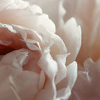 Joyful Unfolding Coffee Mug Gallery Image 2