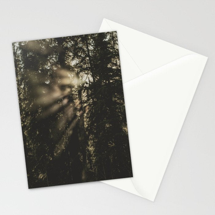 Sunset in the Woods - Nature Photography Stationery Card Gallery Image 2