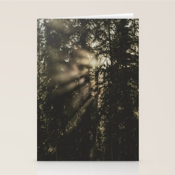 Sunset in the Woods - Nature Photography Stationery Card Gallery Image 2