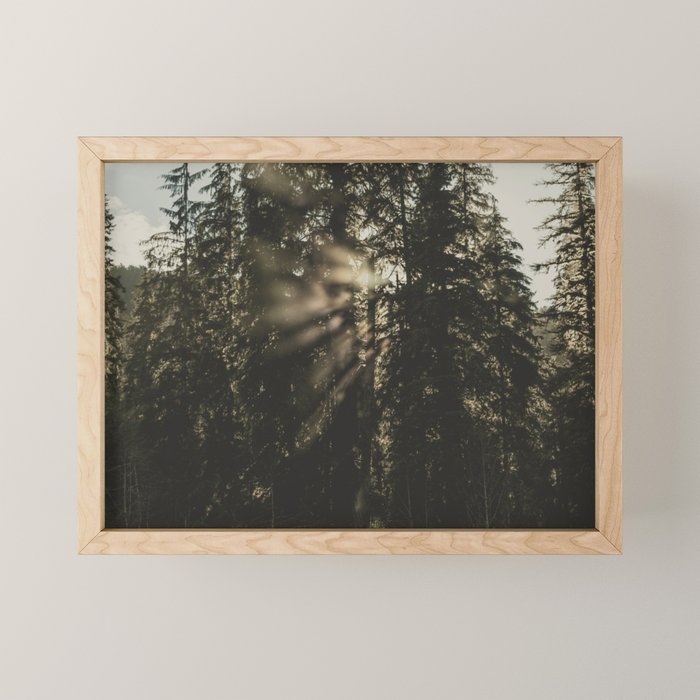Sunset in the Woods - Nature Photography Mini Art Print Gallery Image 1