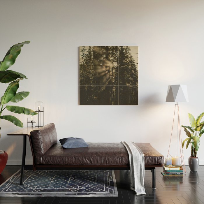 Sunset in the Woods - Nature Photography Wood Wall Art Gallery Image 2