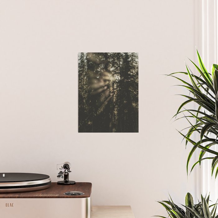 Sunset in the Woods - Nature Photography Poster Gallery Image 2