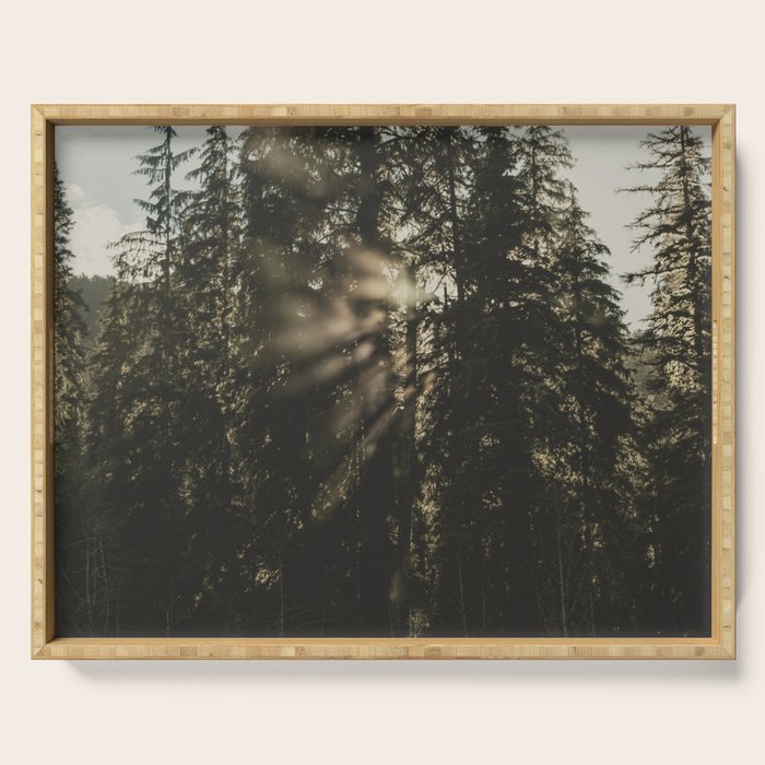 Sunset in the Woods - Nature Photography Serving Tray Gallery Image 1