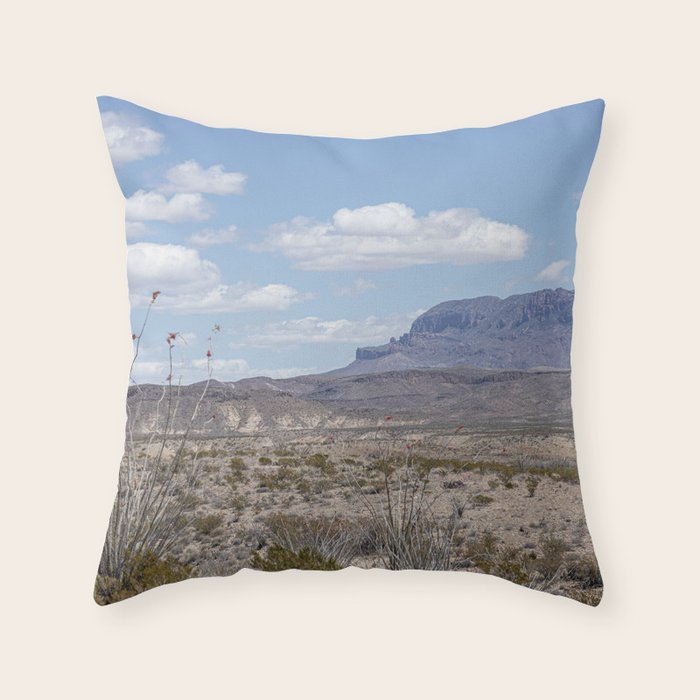 Ocotillo In Bloom at Big Bend National Park Photography Print Throw Pillow Gallery Image 6