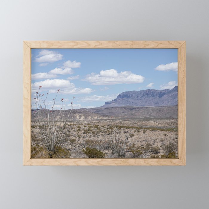 Ocotillo In Bloom at Big Bend National Park Photography Print Mini Art Print Gallery Image 1