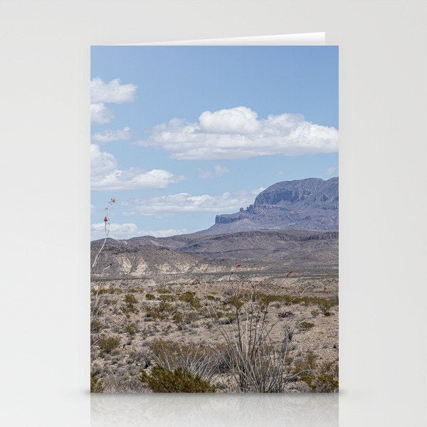 Ocotillo In Bloom at Big Bend National Park Photography Print Stationery Card Gallery Image 1