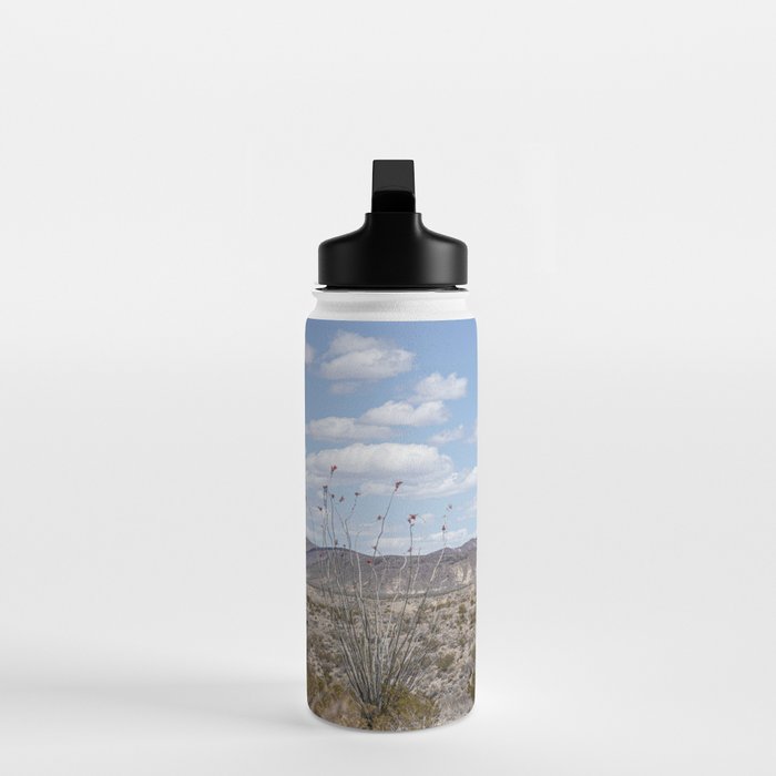 Ocotillo In Bloom at Big Bend National Park Photography Print Water Bottle Gallery Image 3