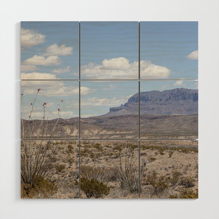 Ocotillo In Bloom at Big Bend National Park Photography Print Wood Wall Art Gallery Image 1