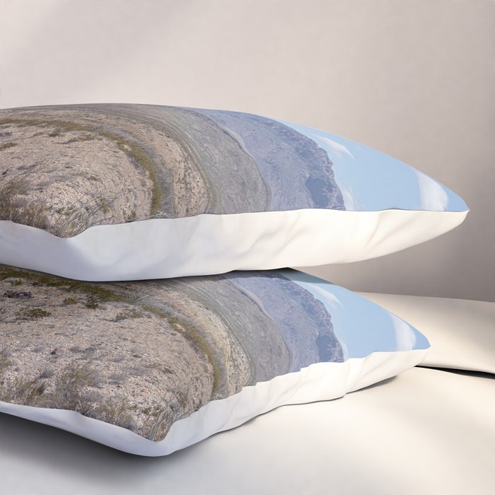 Ocotillo In Bloom at Big Bend National Park Photography Print Pillow Sham Gallery Image 3