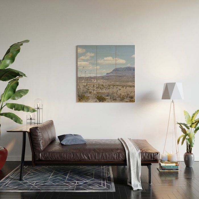Ocotillo In Bloom at Big Bend National Park Photography Print Wood Wall Art Gallery Image 2