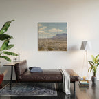 Ocotillo In Bloom at Big Bend National Park Photography Print Wood Wall Art Gallery Image 2