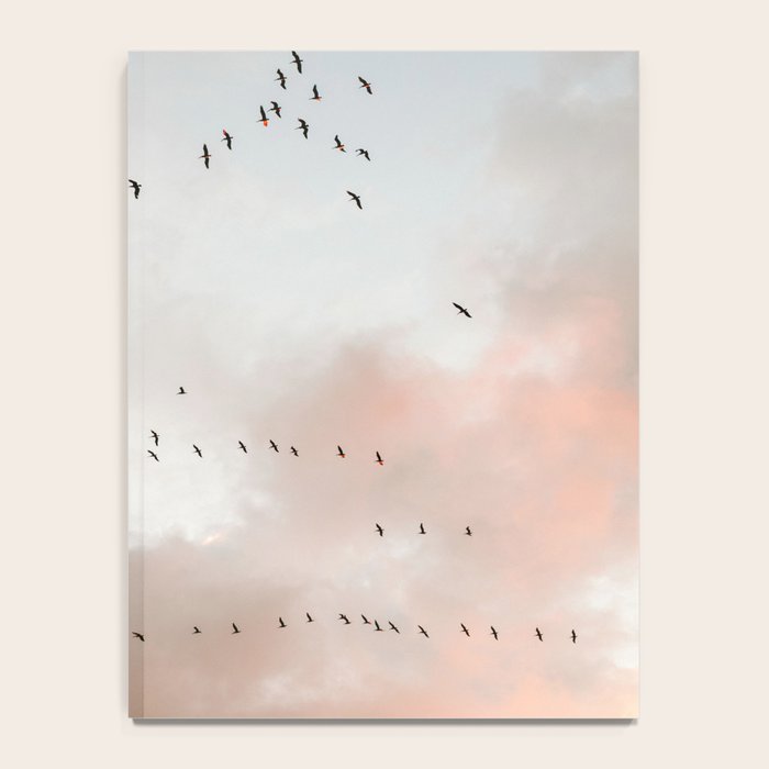 Birds of Paradise | Nosara Costa Rica Sunset Fine art photography print | Travel vibes Notebook Gallery Image 4
