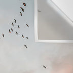 Birds of Paradise | Nosara Costa Rica Sunset Fine art photography print | Travel vibes Wall Tapestry Gallery Image 3