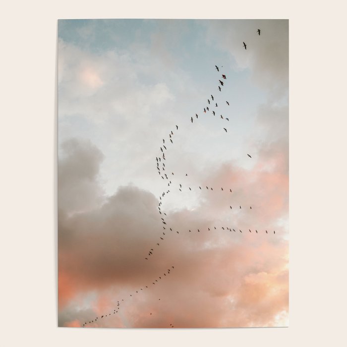 Birds of Paradise | Nosara Costa Rica Sunset Fine art photography print | Travel vibes Poster Gallery Image 1