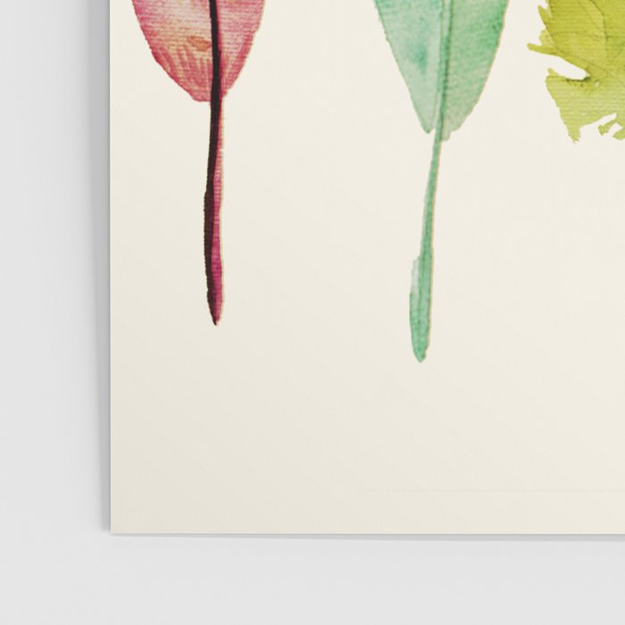 Feathers Poster Gallery Image 3
