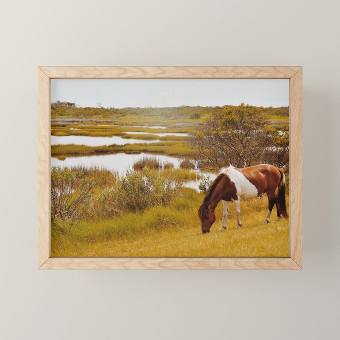Assateague Island Pony Mini Art Print Gallery Image 1