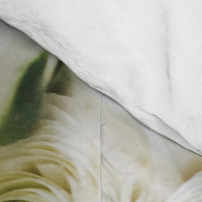 Splendour Comforter Gallery Image 4