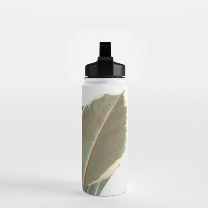 Ficus Teneke Water Bottle Gallery Image 2