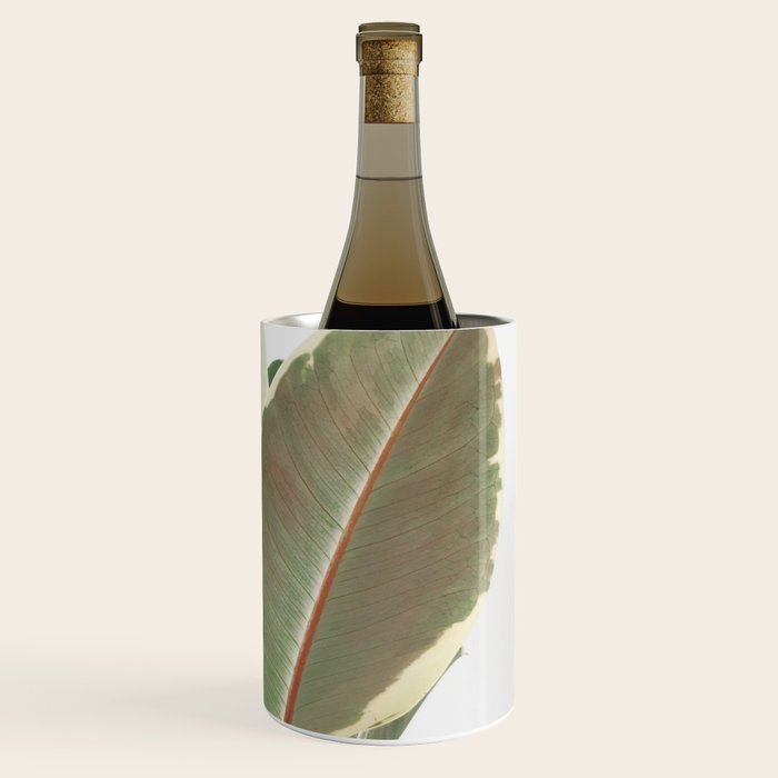 Ficus Teneke Wine Chiller Gallery Image 3