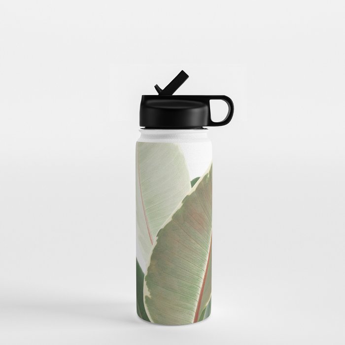 Ficus Teneke Water Bottle Gallery Image 1