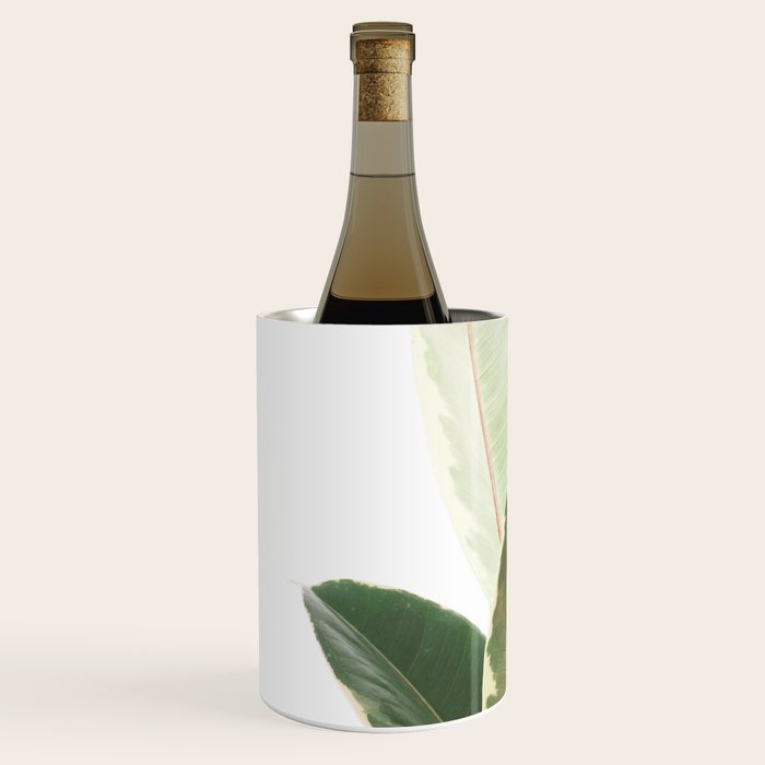 Ficus Teneke Wine Chiller Gallery Image 2