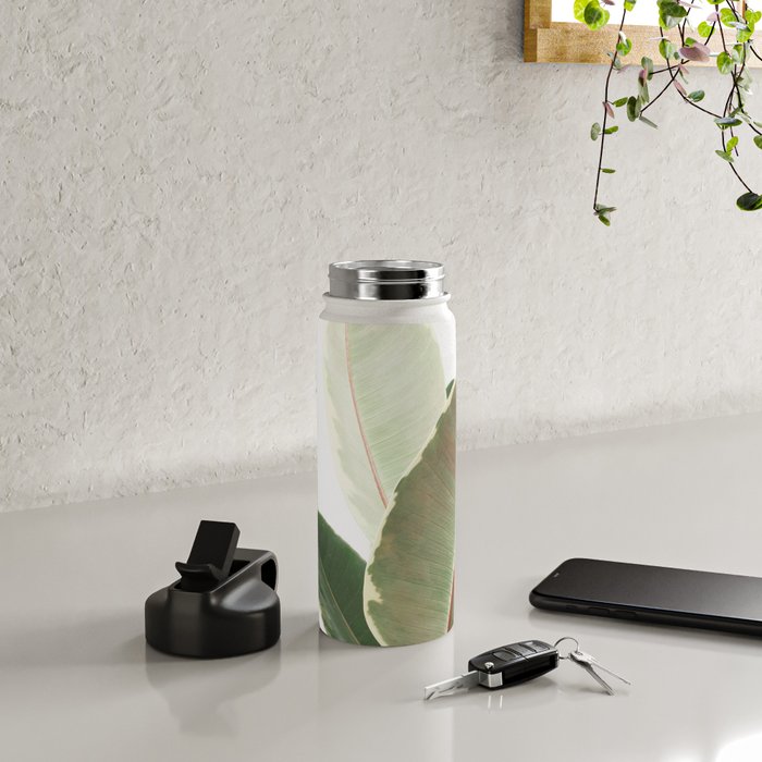 Ficus Teneke Water Bottle Gallery Image 4