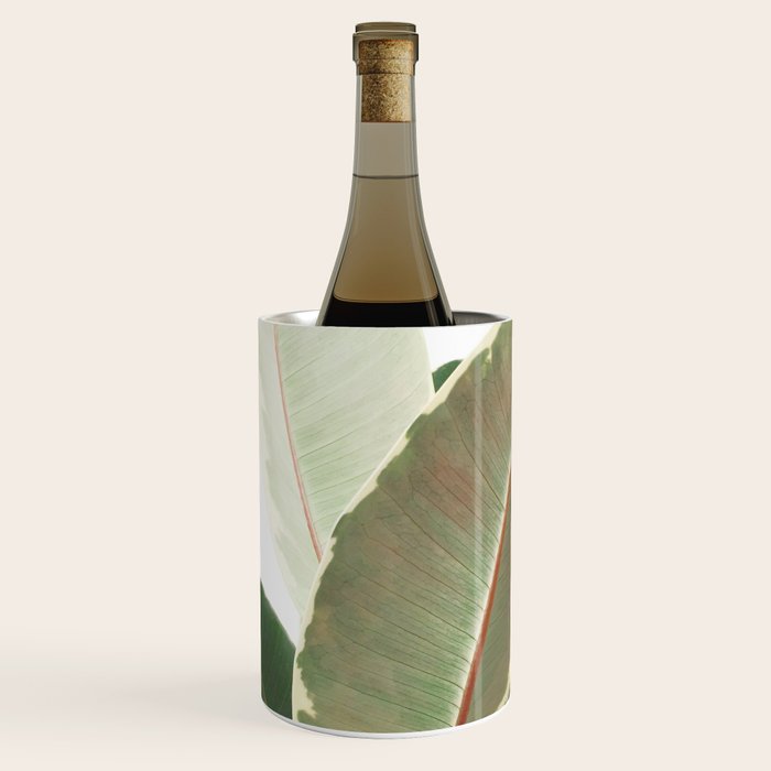 Ficus Teneke Wine Chiller Gallery Image 1