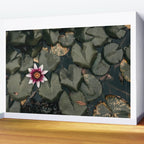 Lily Pond Wall Mural Gallery Image 2