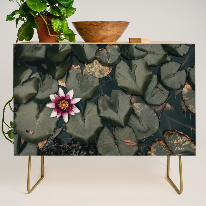 Lily Pond Credenza Gallery Image 1