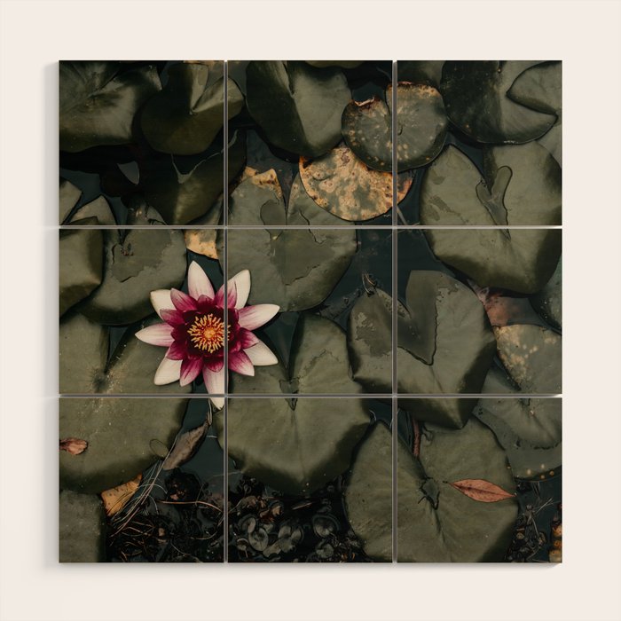 Lily Pond Wood Wall Art Gallery Image 1