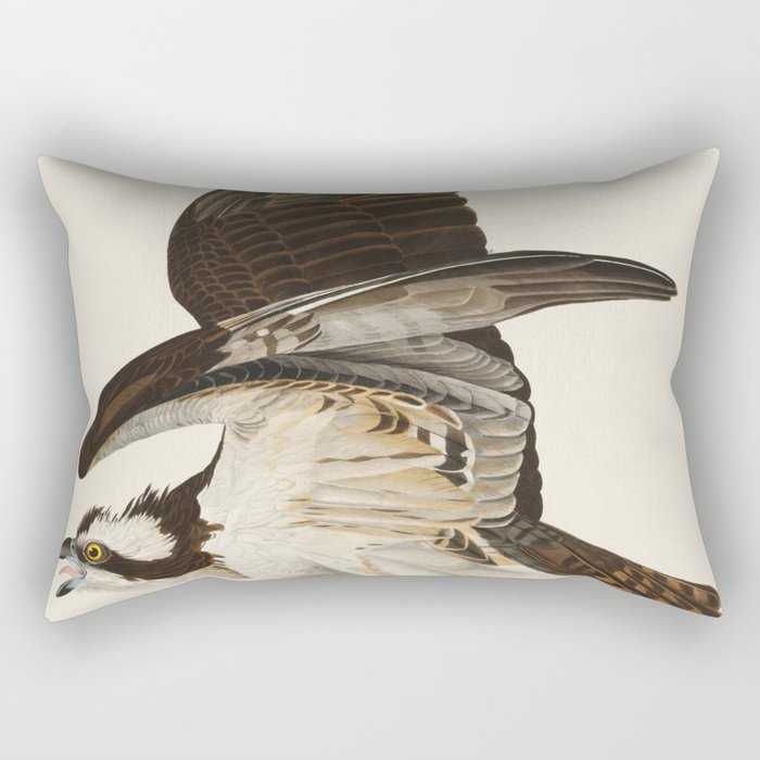 Fish Hawk, or Osprey from Birds of America (1827) by John James Audubon Rectangular Pillow Gallery Image 2