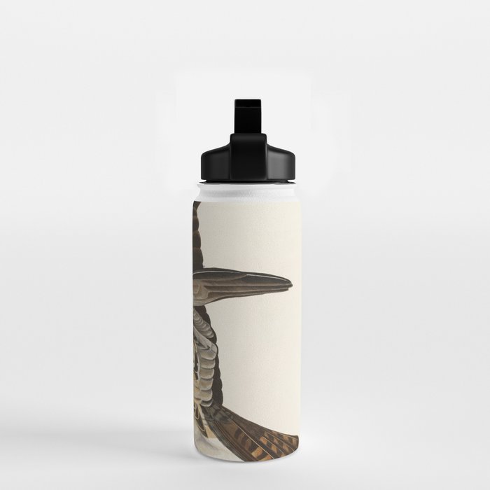 Fish Hawk, or Osprey from Birds of America (1827) by John James Audubon Water Bottle Gallery Image 2